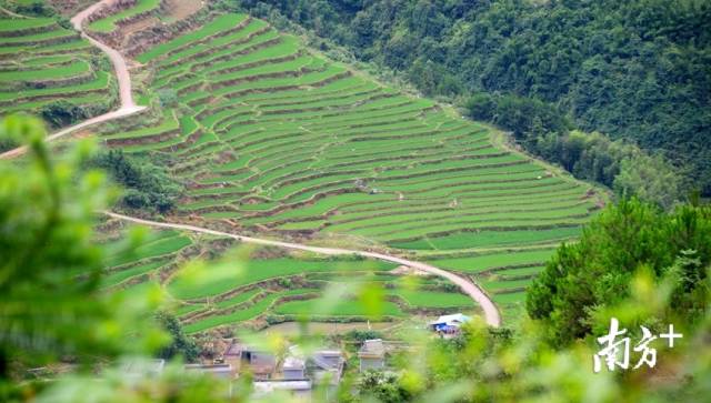 黑山村梯田。記者黃津 攝