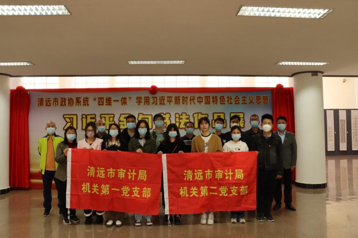 2.清遠市審計局組織開展“觀展覽、悟思想、踐行動”主題黨日活動_2