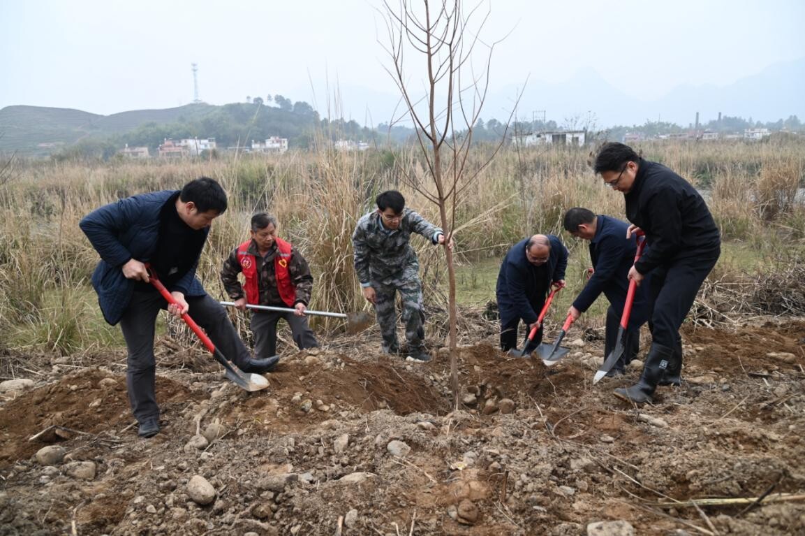 兵“林”城下 退役軍人走在綠美清遠生態建設“第一方陣”，萬株新苗筑牢粵北生態屏障
