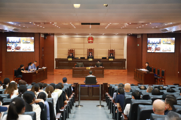 “零距離”警示教育，“沉浸式”以案普法——清遠市普法辦 清遠市中級人民法院聯合開展2025年清遠市領導干部旁聽庭審活動